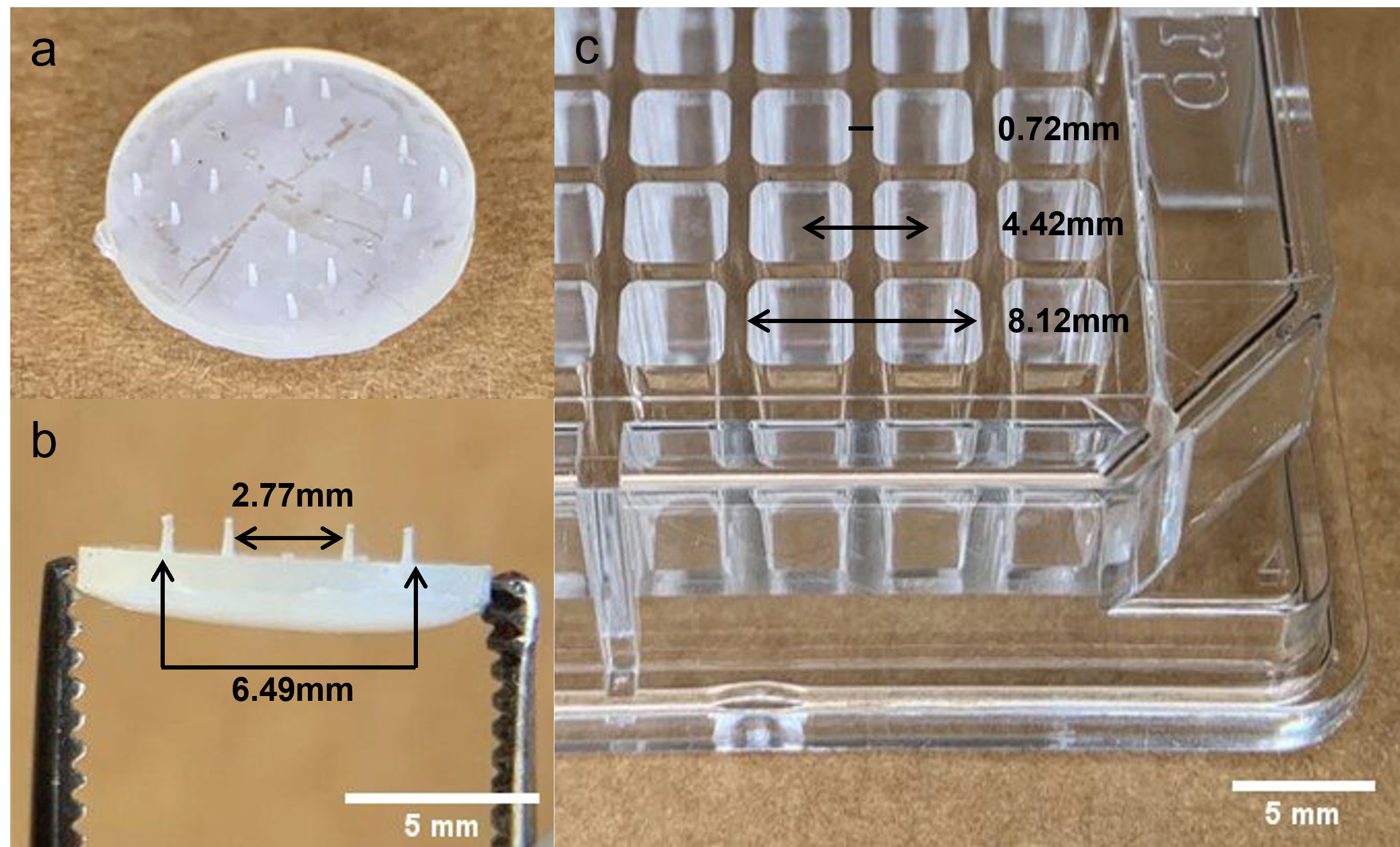 A Microneedle-Microplate Platform to Detect Biomarkers in the Skin