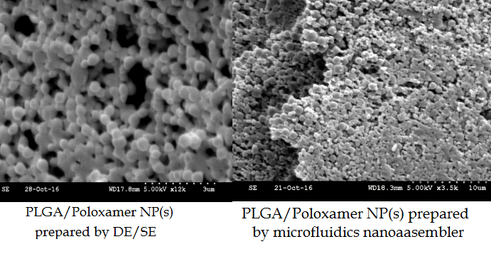 A Novel biodegradable system based on poly (lactic‐co‐glycolic acid) nanoparticles for delivery of a novel anticancer peptide